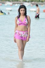 Payal Ghosh (Harika) in Bikini Swimwear Photoshoot on 30th May 2010 (120).JPG